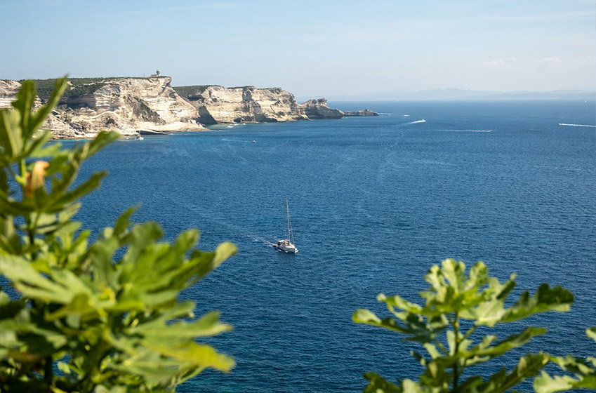 Où aller en Corse ? Un guide pour les vacances