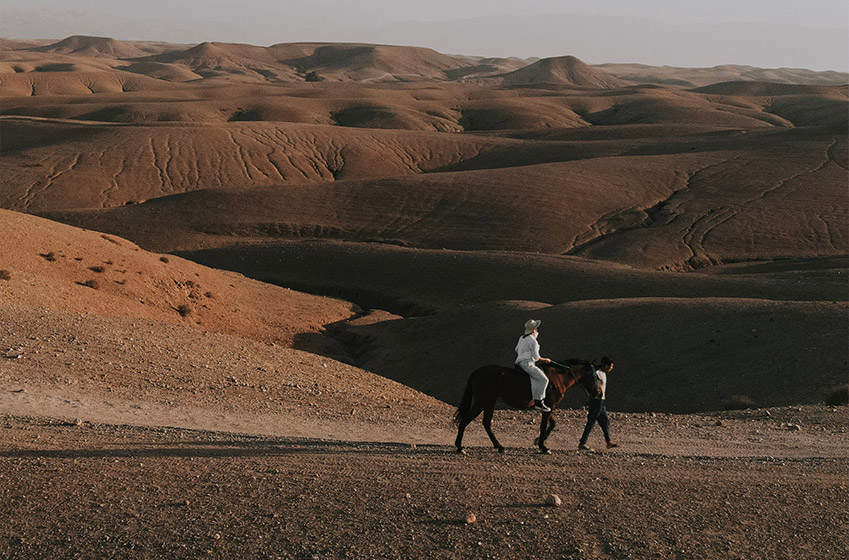 Découvrez Marrakech à cheval : une expérience inoubliable